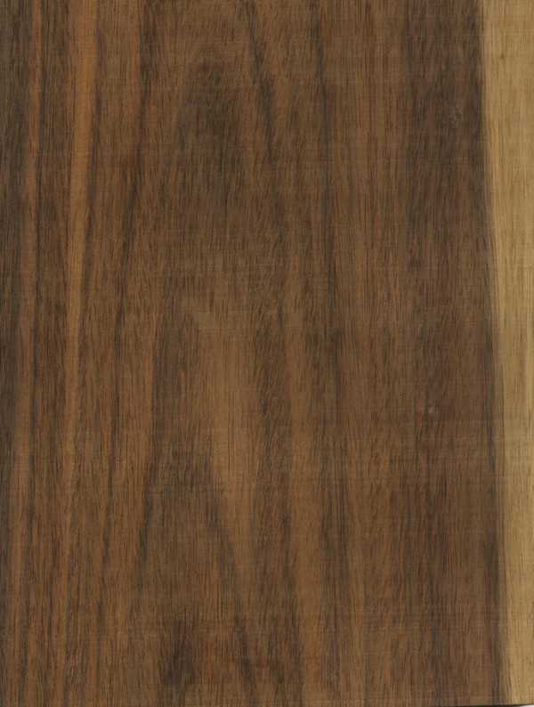 indian_rosewood.jpg