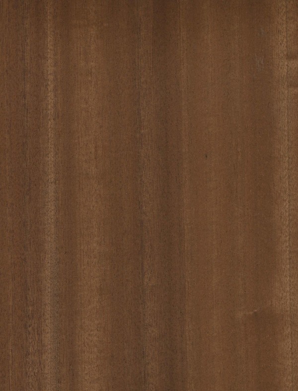 sapele_q2623614743bc.jpg